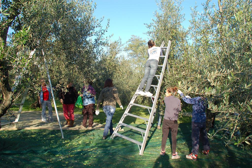 Il Podere Di Giustina Villa Montecarlo Exterior foto